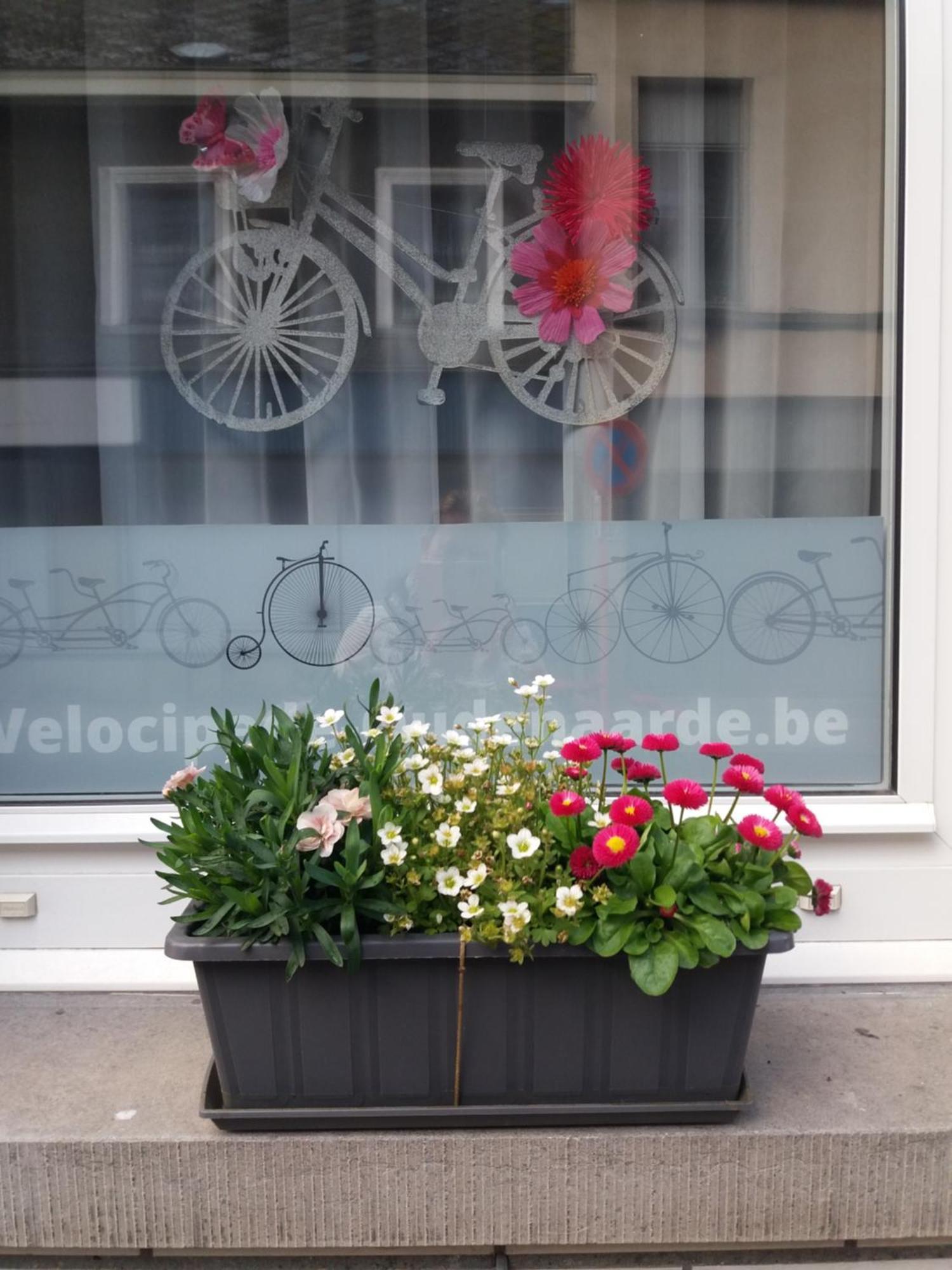Velocipede Oudenaarde Vakantieverblijf 6 Pers (Adults Only) 外观 照片