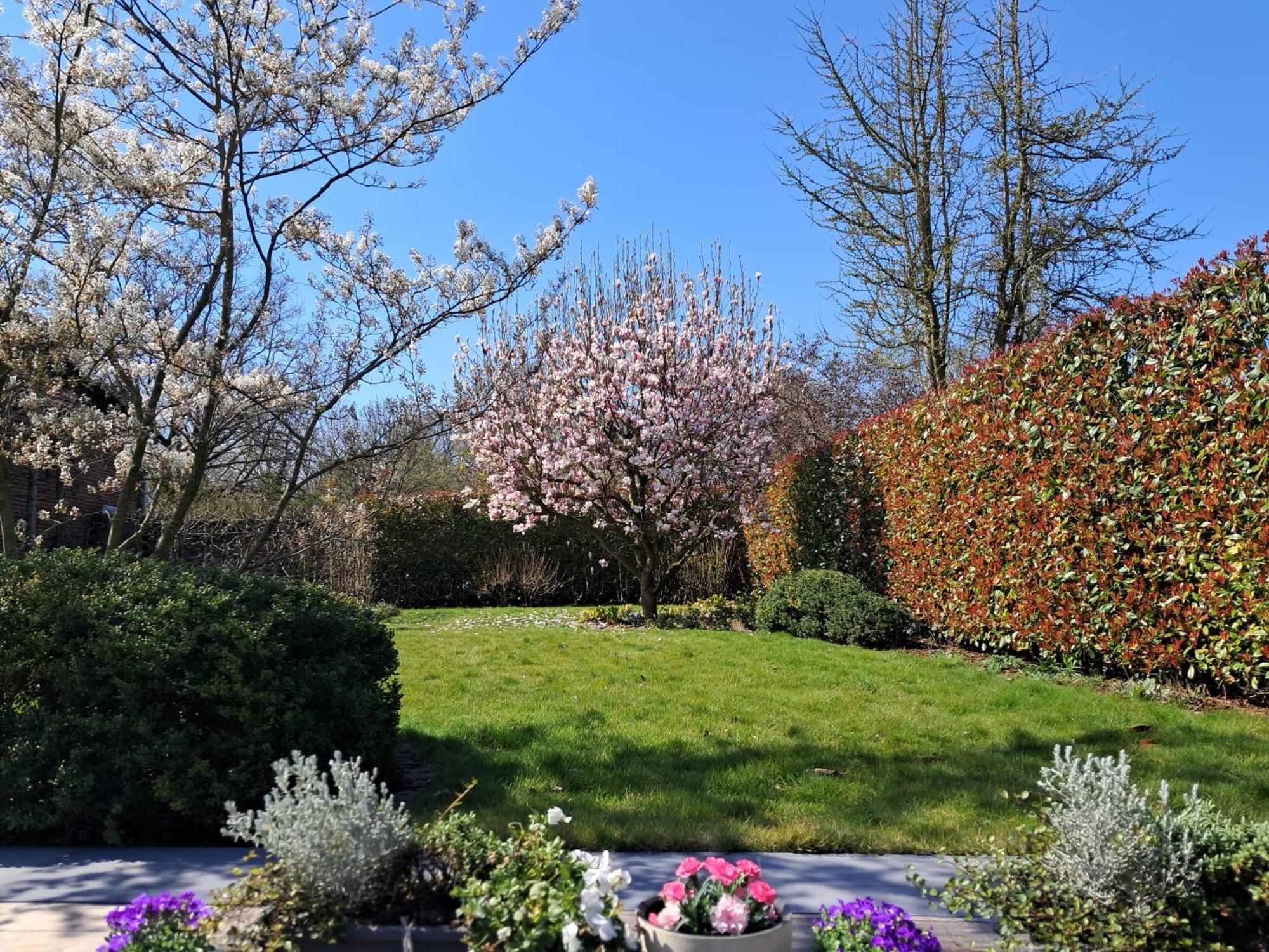 Velocipede Oudenaarde Vakantieverblijf 6 Pers (Adults Only) 外观 照片